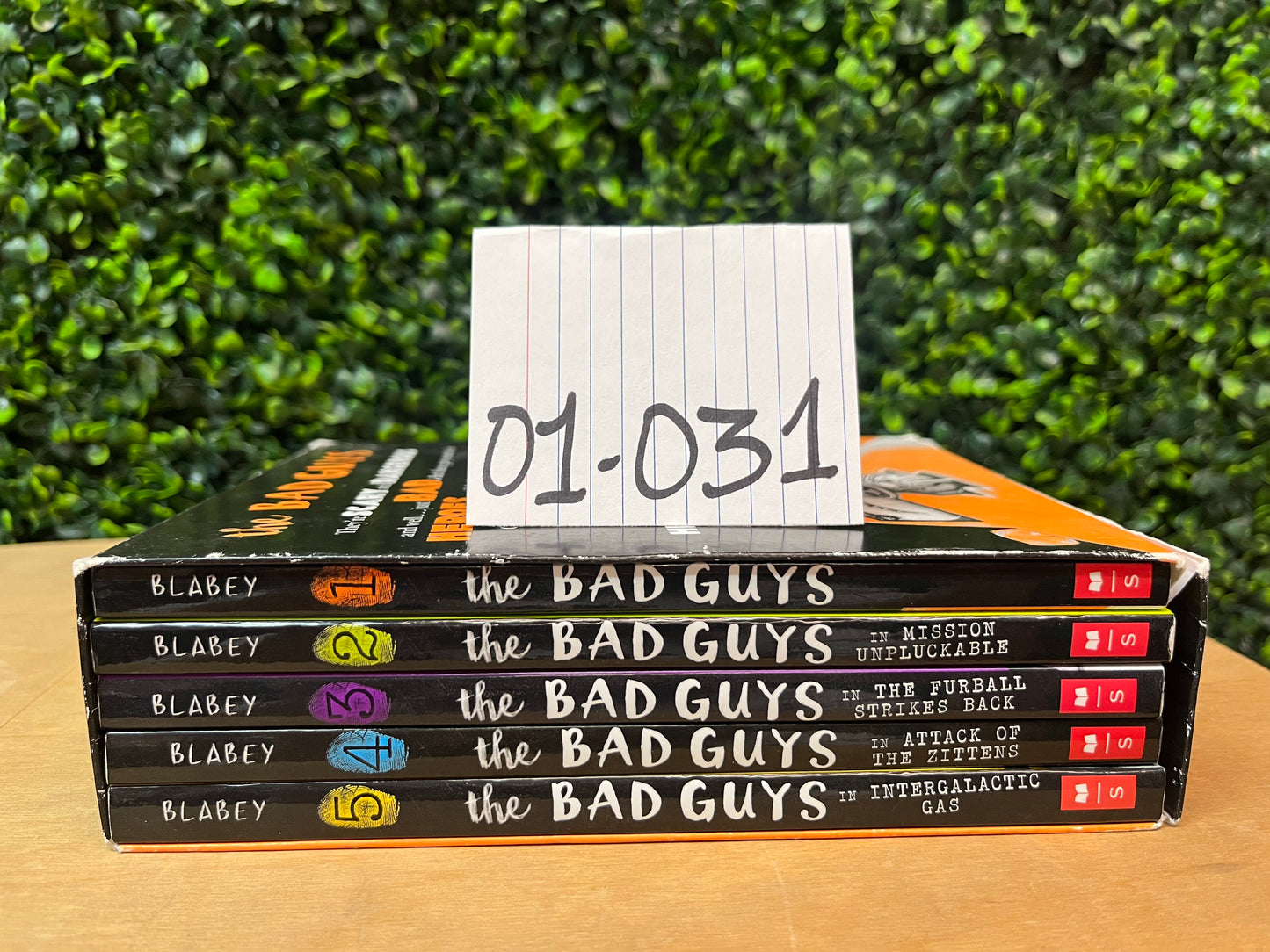 Limited bundle - 01-031