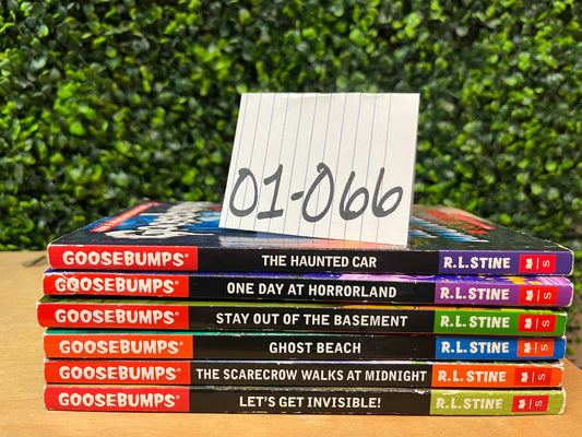 Limited bundle - 01-066